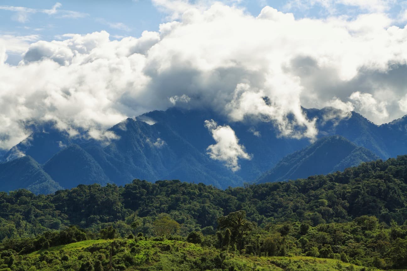 cloudy ecuadorian cloudforest baeza